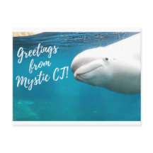 Mystic CT Post Card - Burger Post Art #004 signed