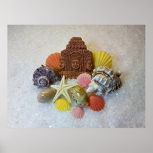 Mystic Energy Seashells and Starfish Poster