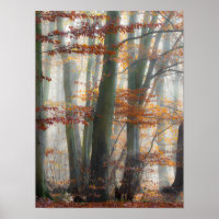 Mystic Foggy Forest in autumn