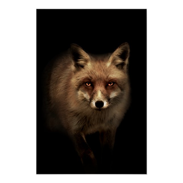 Mystic Fox Poster (Front)