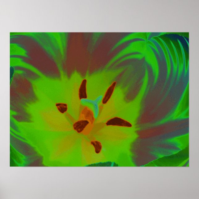 Mystic Green Tulip Poster (Front)