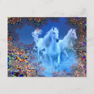 Mystic Horses Postcard