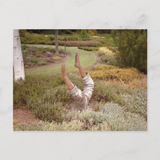 Mystic Legs akimbo Postcard