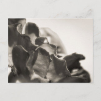 Mystic Postcard