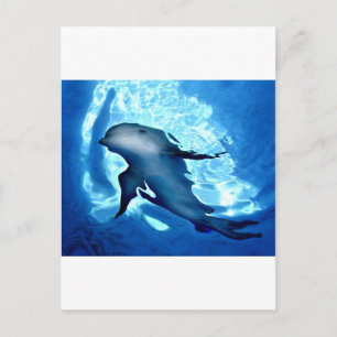 Mystical Dolphin.jpg Postcard