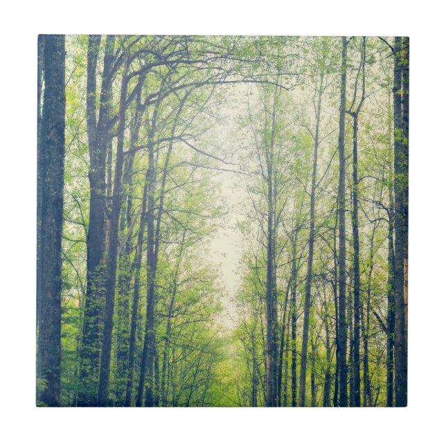 Mystical forest ceramic tile (Front)
