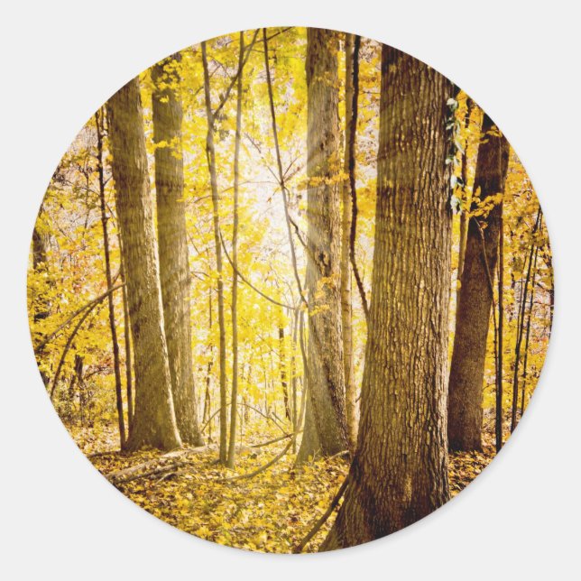 Mystical Forest Classic Round Sticker (Front)