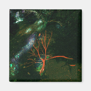 Mystical Forest... Magnet
