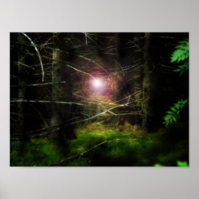 Mystical Forest Poster (Front)