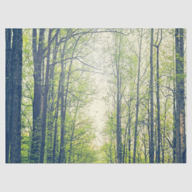 Mystical forest tissue paper (Front)