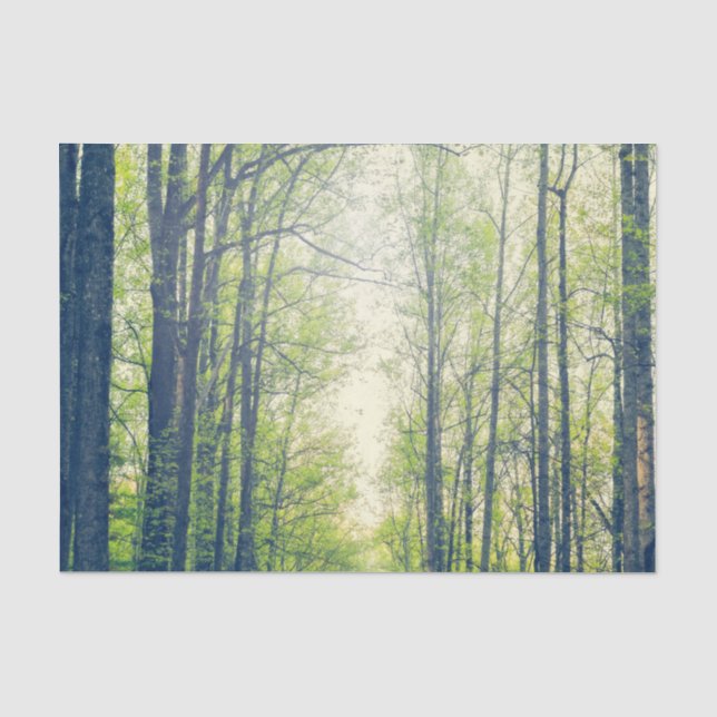 Mystical forest tissue paper (Front)
