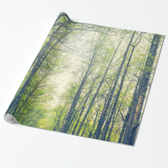 Mystical forest wrapping paper (Unrolled)