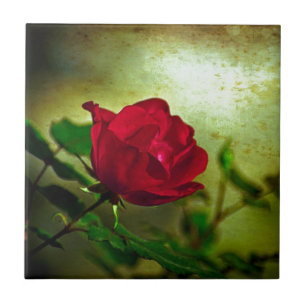 Mystical Garden Gothic Valentine's day Red Rose Tile