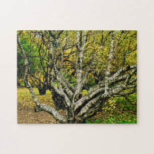 Mystical Gnarled Karelian Birch Tree Jigsaw Puzzle
