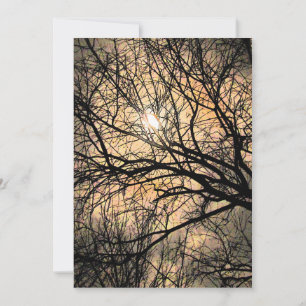 Mystical Moon Halloween Invitation