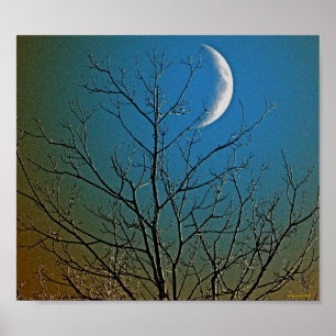 Mystical Moon ll Poster