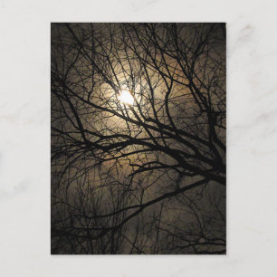 Mystical Moon Postcard