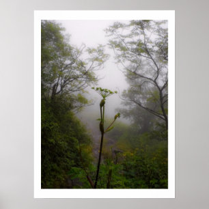 Mystical Morning at Appalachian Trail Poster