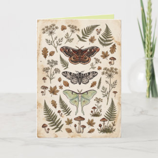 Mystical Moths Folk Flowers & Foliage Art Card