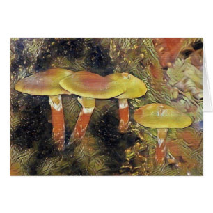 Mystical Mushrooms
