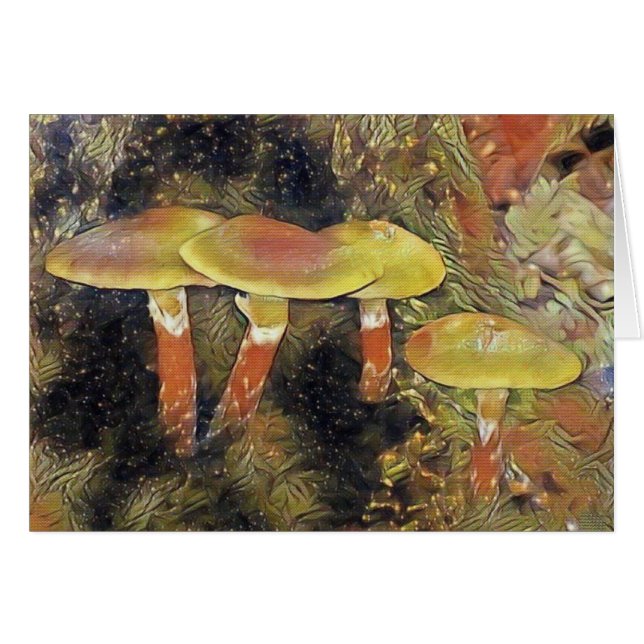 Mystical Mushrooms (Front Horizontal)