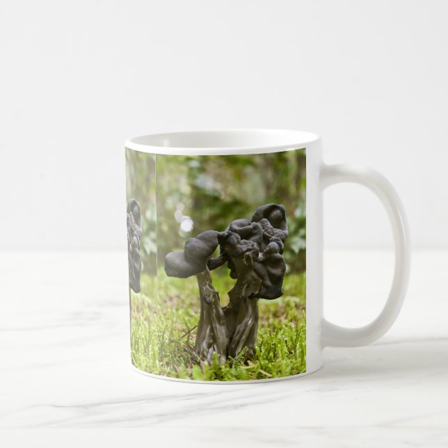 Mystical Mushrooms Coffee Mug (Right)