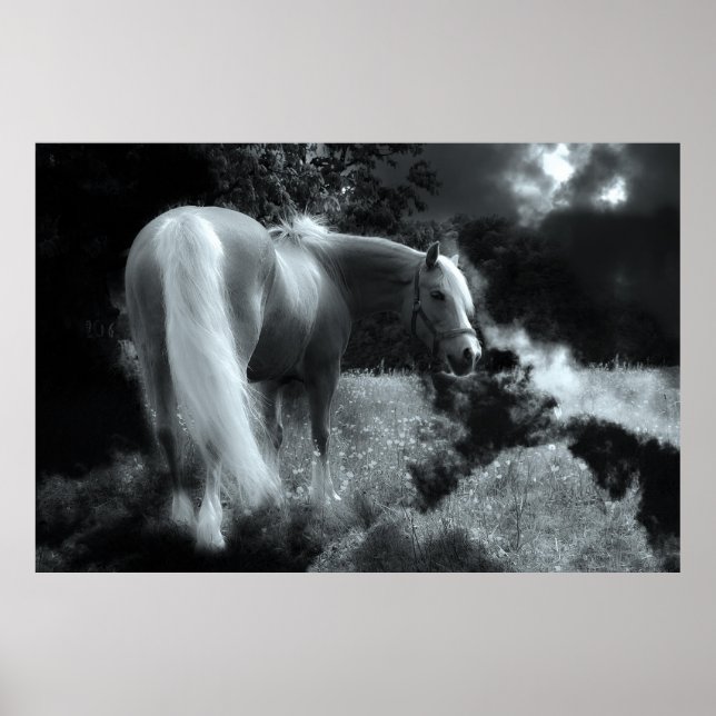 mystical night horse poster (Front)