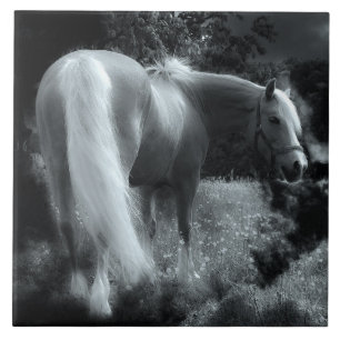 mystical night horse tile