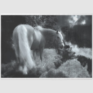 mystical night horse tissue paper