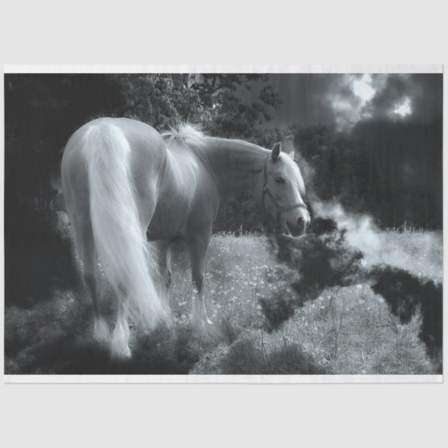 mystical night horse tissue paper (Front)