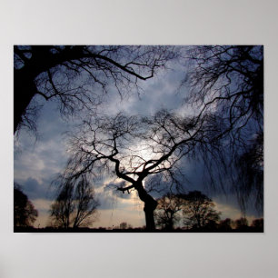 Mystical Night, Moon shining through Trees Poster