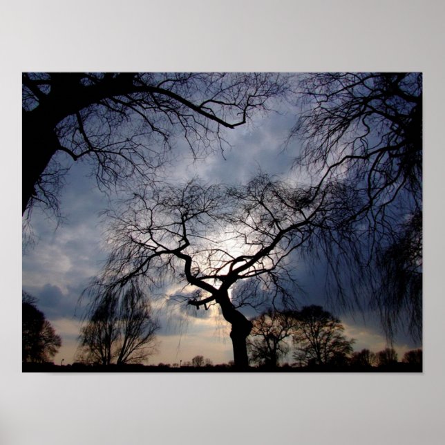 Mystical Night, Moon shining through Trees Poster (Front)