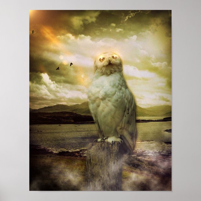 Mystical Owl Poster (Front)