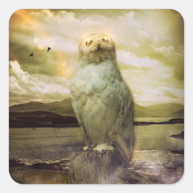 Mystical Owl Square Sticker (Front)