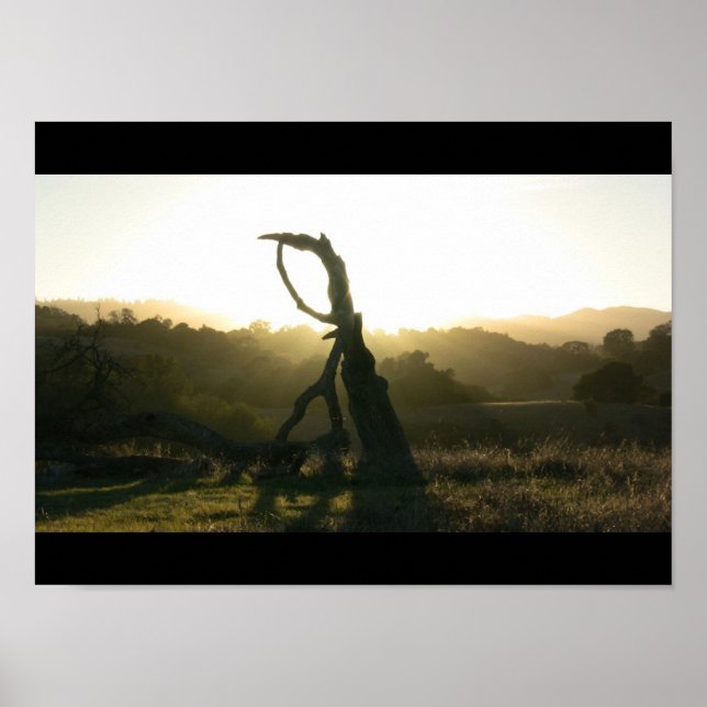 Mystical Revelation - Poster (Front)