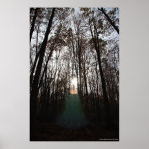 Mystical Spirit of the Forest Print #015