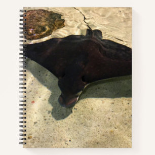 Mystical Stingray Notebook