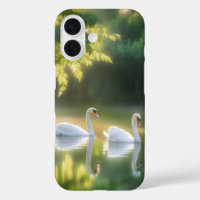 Mystical Swans Gracefully Gliding On Summer Pond