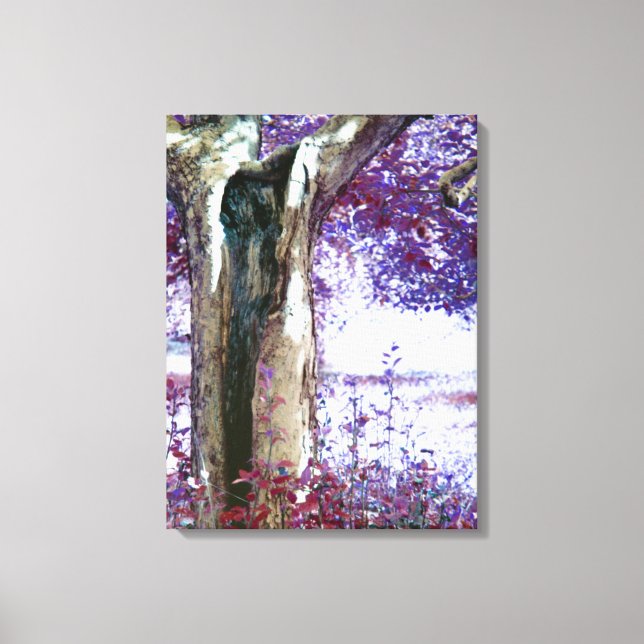 Mystical Tree Canvas Print (Front)