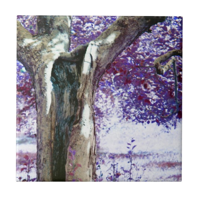 Mystical Tree Ceramic Tile (Front)