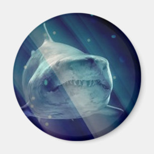 Mystical Underwater Shark Magnet