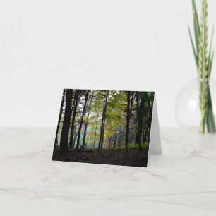 Mystical Woods at Quechee Gorge Note Card