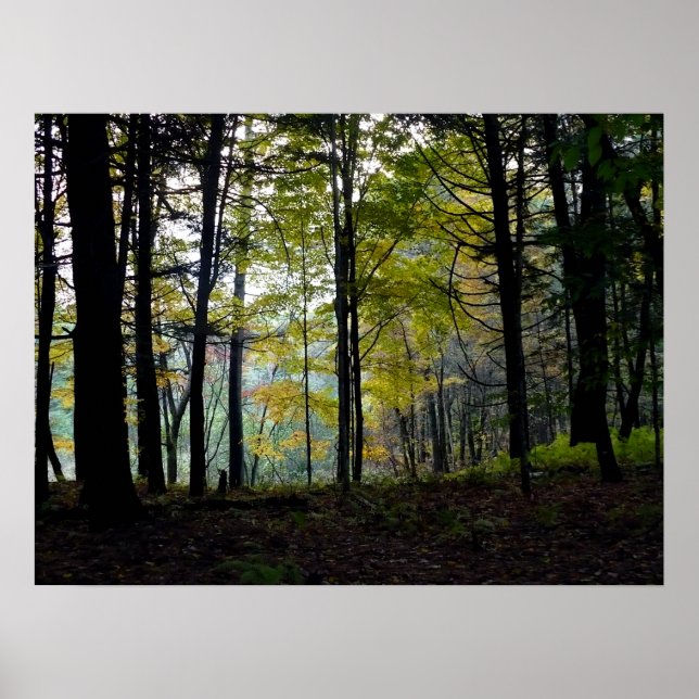 Mystical Woods at Quechee Gorge Poster (Front)