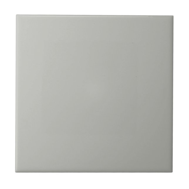 Mythical Argos Grey Square Kitchen and Bathroom Ceramic Tile (Front)