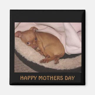 n1033590036_30076141_3289, HAPPY MOTHERS DAY Magnet