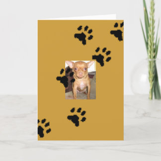 n1033590036_30149730_9405mmm, Footprints Card