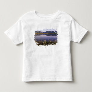 N.A., Canada, Newfoundland, Gros Morne National Toddler T-Shirt