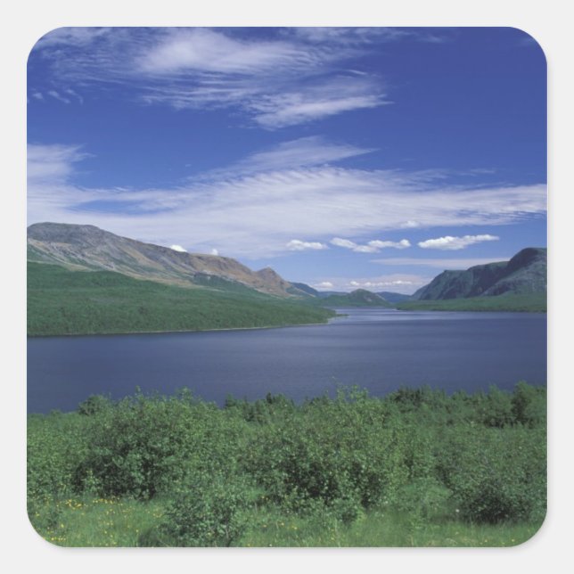 N.A., Canada, Newfoundland, Grose Morne Trout Square Sticker (Front)