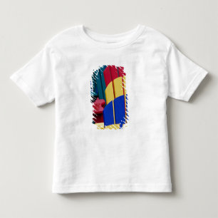 N.A. Canada, Nova Scotia, Bridgewater. Colourful 3 Toddler T-Shirt