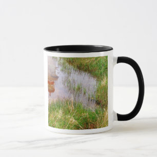 N.A. Canada, Nova Scotia, Peggy's Cove. Mug